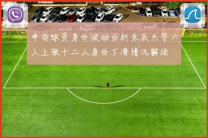 申花球员身价波动分析朱辰杰等六人上涨十二人身价下滑情况解读